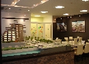 DSC01991.jpg